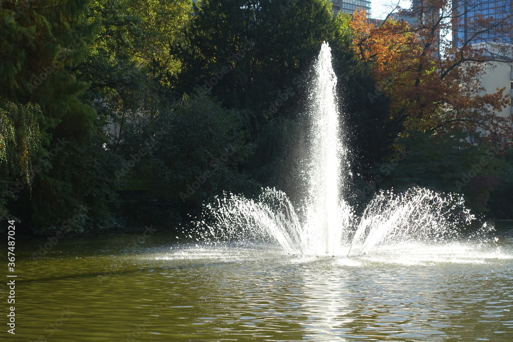 Teich in der Bockenheimer Anlage in Frankfurt Teich in der Bockenheimer Anlage in Frankfurt