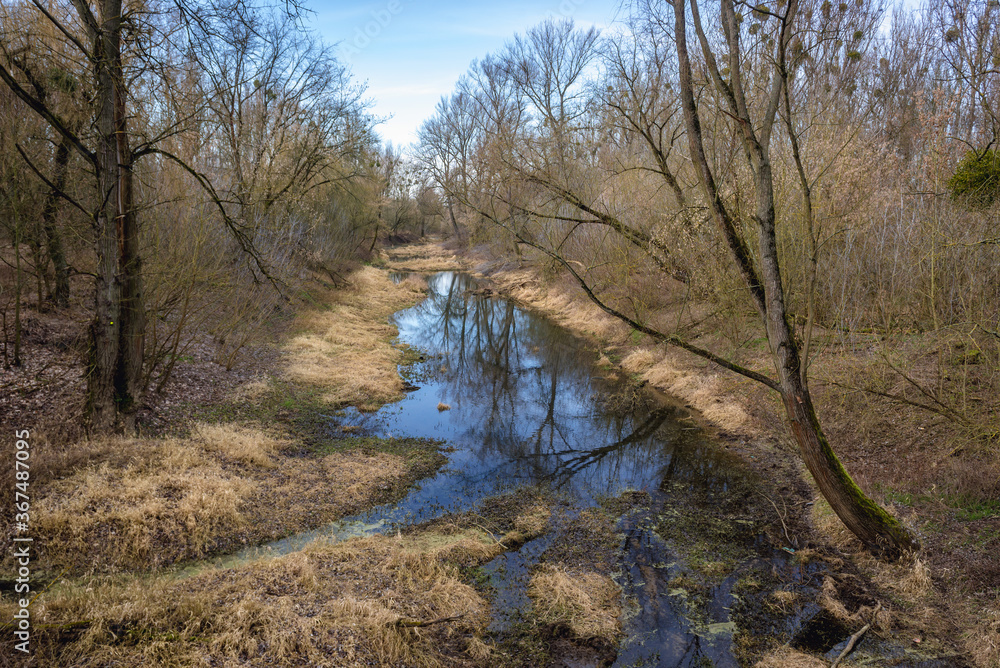 Vistula river arm in Torun, Kuyavian Pomeranian Voivodeship of Poland