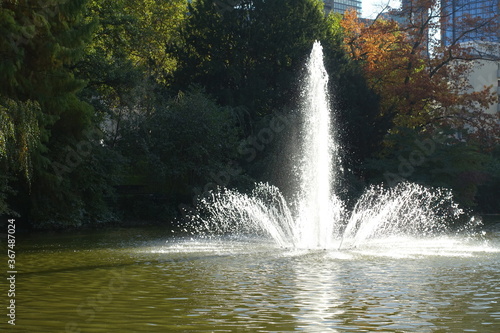 Teich in der Bockenheimer Anlage in Frankfurt