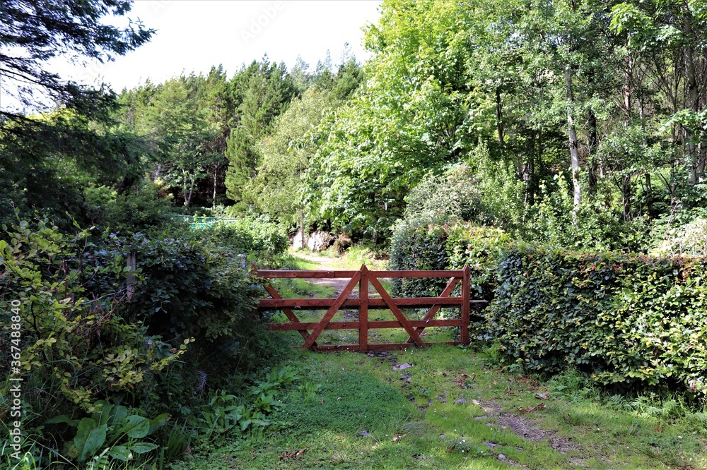 garden in the park,outer hebrides, scotland