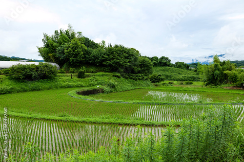 Midsummer in Japan, a view of the countryside after the rain