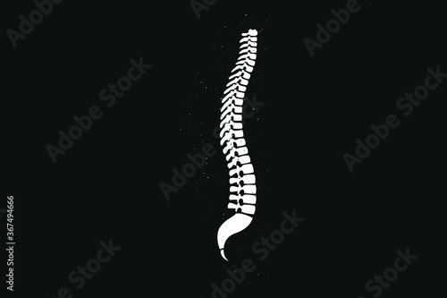 Simple Design of Reality Spine Bone Vector