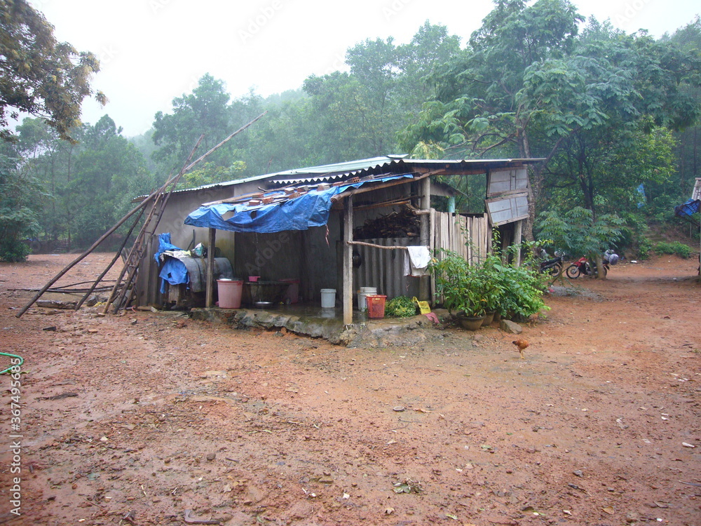 Regenwald Vietnam Regenwald Vietnam