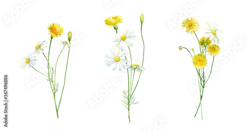 Three bouquets of chamomile and yellow wild flowers .For congratulations  invitations  anniversaries  weddings  birthday