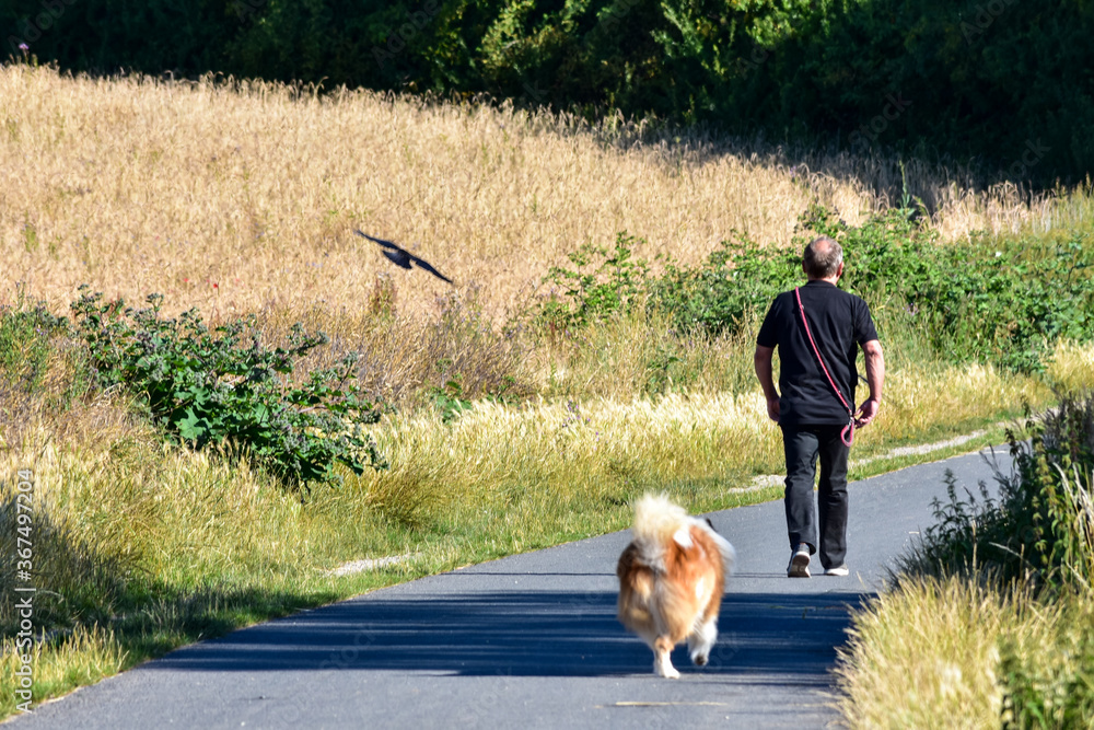 man walking the dog man walking the dog