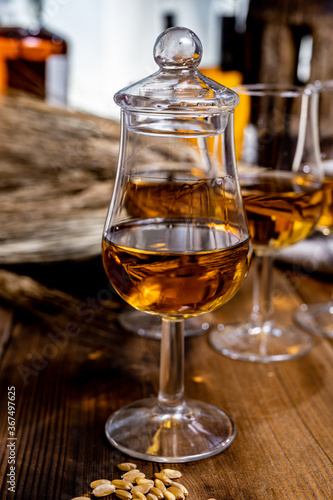 Tasting glasses with aged Scotch whisky or bourbon on old dark wooden vintage table with barley grains