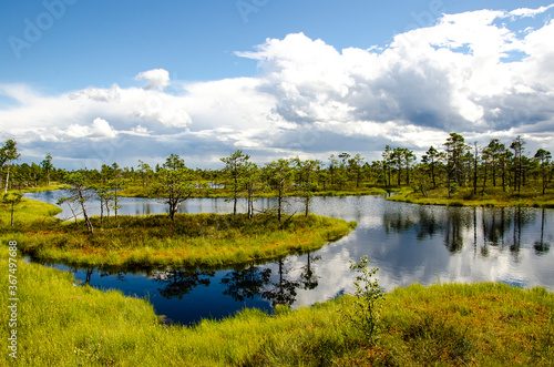 Swamp in Kemeri National Park in Jurmala, Latvia.