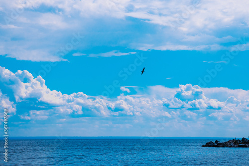 Sky with thick clouds over the blue sea, seagull flying in the sky © Kseniya