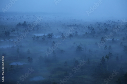 A beautiful and mystical foggy morning during summertime in Estonian nature, Northern Europe. 