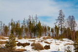 Landscapes of the Khanty-Mansiysk Autonomous Okrug - Ugra. Snow, hills and plains, coniferous forest and frozen rivers