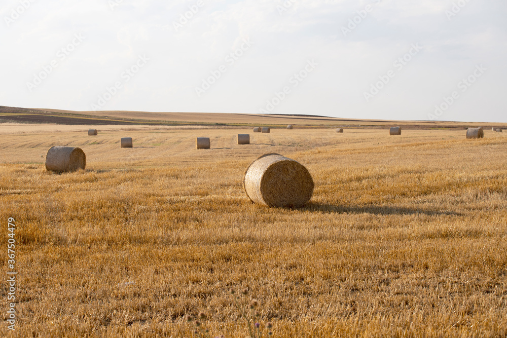 Beautiful landscape with straw bales in harvested fields, with blue sky and clouds, agriculture farming concept
