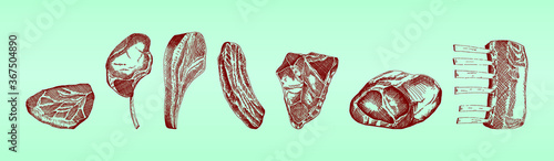 cartoon meat set. vector illustration. isolated on tosca background 