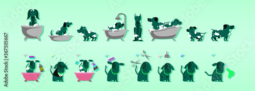 a set of dog washing. isolated on tosca background 