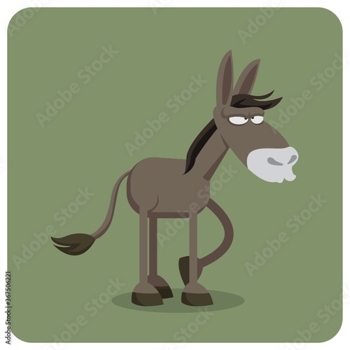 donkey