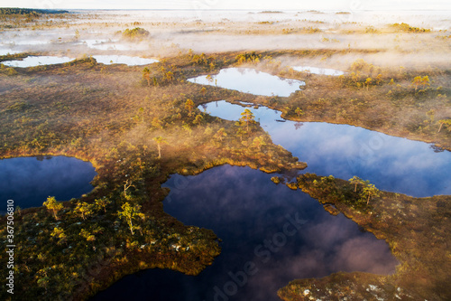 Soomaa National Park  Kuresoo bog. An aerial view of bog lakes in the morning sunrise with some fog in Estonian nature  Northern Europe. 