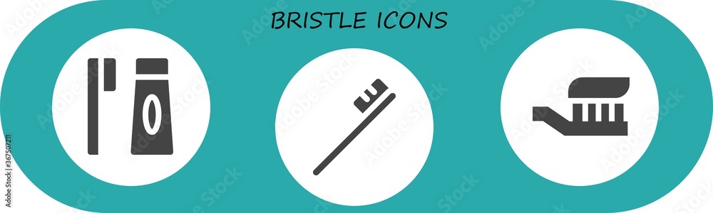 Modern Simple Set of bristle Vector filled Icons Modern Simple Set of bristle Vector filled Icons