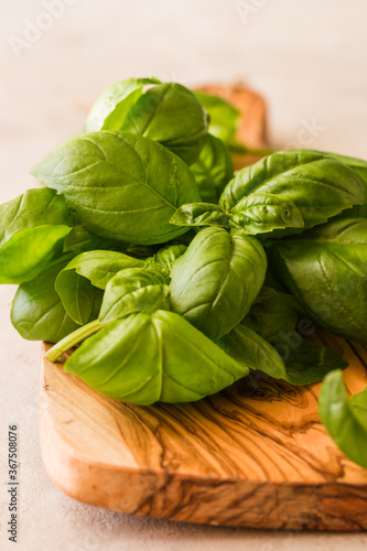 Green leafs of Genovese basil (Ocimum basilicum).Italian cuisine concept