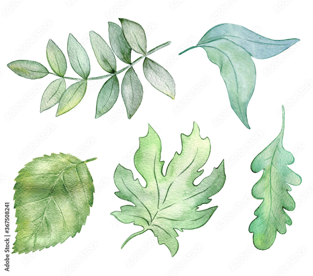 Watercolor set with green leaves