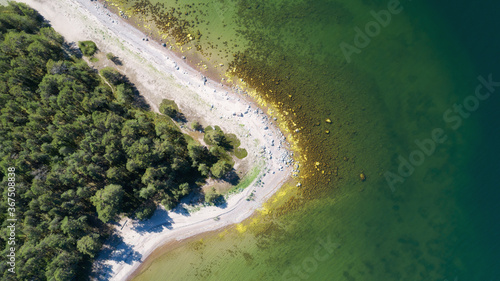 Aerial view of sea sandy beach and coniferous forest drone landscape in Finland above trees and blue sea water scandinavian nature. 