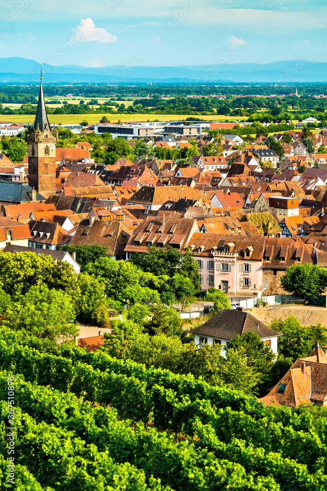 Town of Obernai with vineyards in Bas-Rhin, France