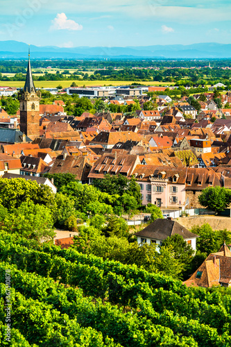 Town of Obernai with vineyards in Bas-Rhin, France photo