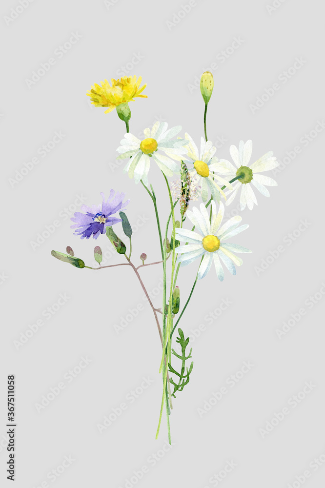 Small bouquet of chamomile, yellow and blue wild flowers .For congratulations, invitations, anniversaries, weddings, birthday Small bouquet of chamomile, yellow and blue wild flowers .For congratulations, invitations, anniversaries, weddings, birthday