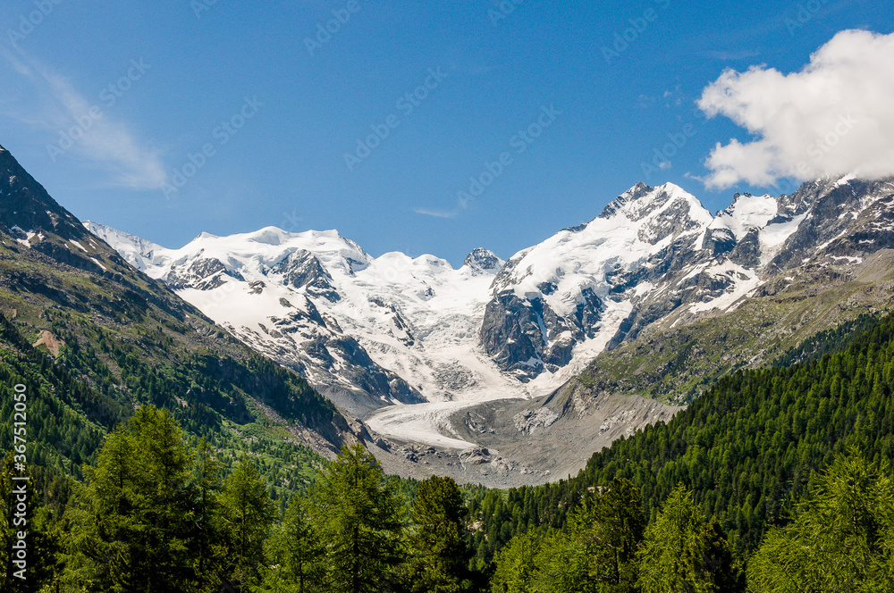 Morteratsch, Morteratschgletscher, Bernina, Gletscher, Piz Bernina, Berninatal, Berninapass, Gletscherweg, Gletscherpfad, Engadin, Alpen, Graubünden, Sommer, Schweiz Morteratsch, Morteratschgletscher, Bernina, Gletscher, Piz Bernina, Berninatal, Berninapass, Gletscherweg, Gletscherpfad, Engadin, Alpen, Graubünden, Sommer, Schweiz