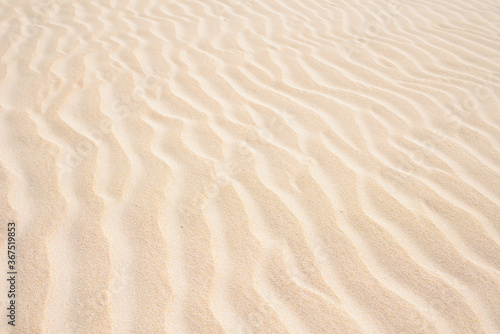 Golden sand in the dune  background of sand in the desert