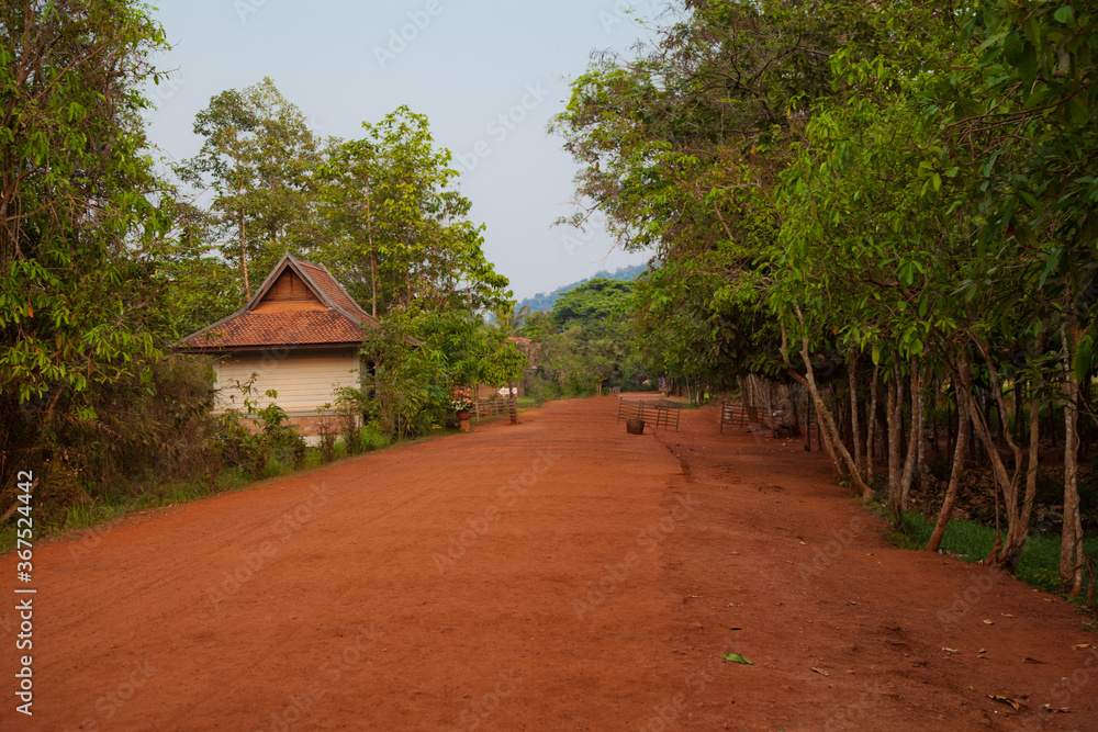 Path in the park in Banteay Srei, Cambodia Path in the park in Banteay Srei, Cambodia