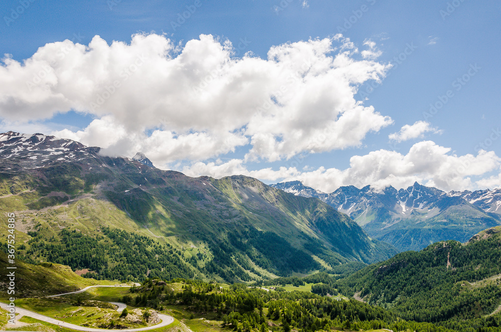 Obraz premium Poschiavo, Puschlav, valposchiavo, Bernina, Val Bernina, Berninapass, Passhöhe, Wanderweg, Ospizio Bernina, Zugfahrt, Zugreise, Wasserscheide, Lago Bianco, Alpen, Graubünden, Sommer, Schweiz