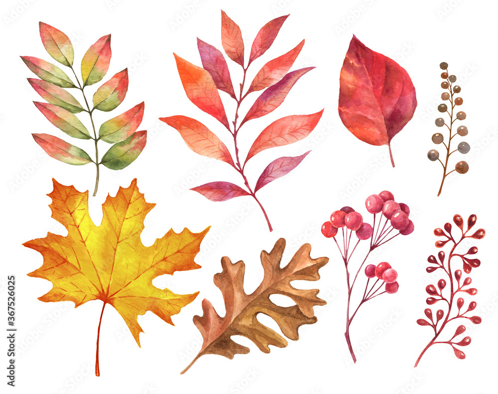 Watercolor autumn leaves foliage