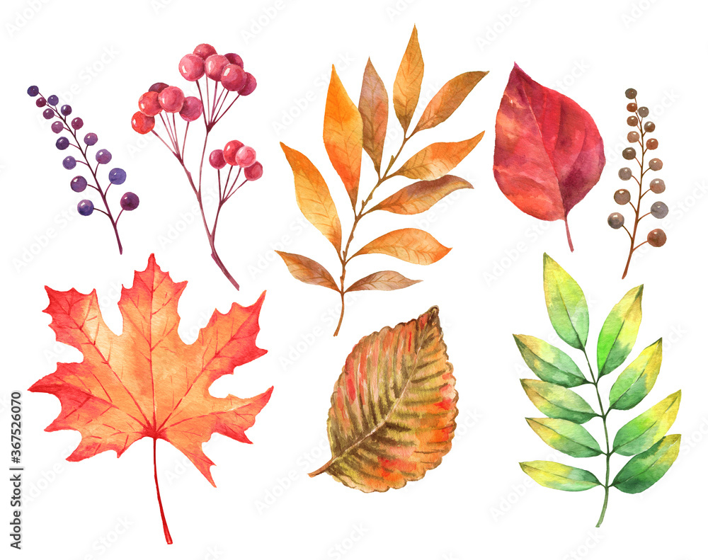 Naklejka premium Watercolor autumn leaves foliage