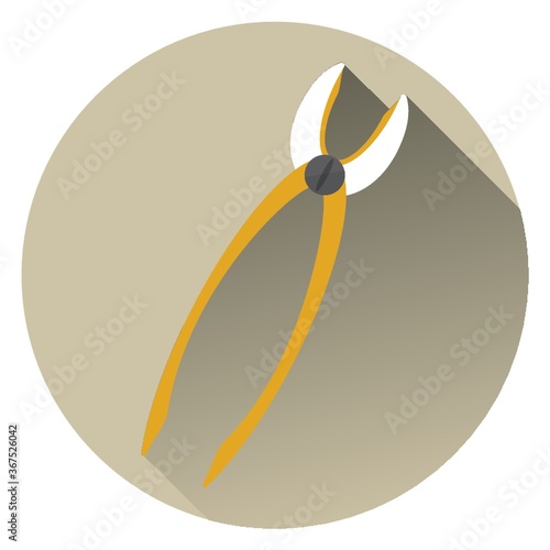 dental pliers
