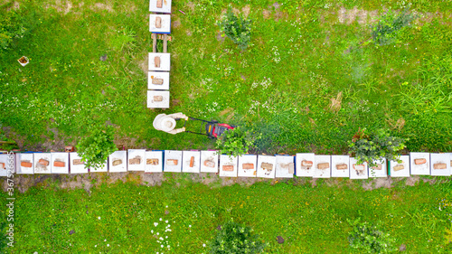 Schilderij op canvas Aerial view of beekeeper as he mowing a lawn in his apiary with a petrol lawn mo