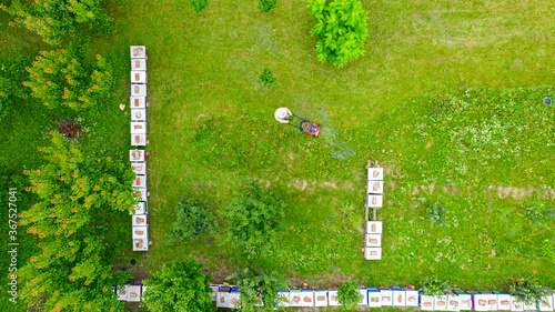 Aerial view of beekeeper as he mowing a lawn in his apiary with a petrol lawn mower