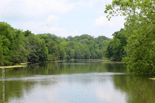A calm peaceful lake in the woods of the park.
