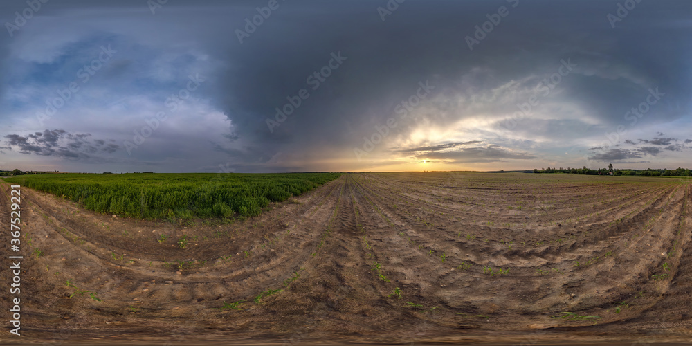 Fototapeta premium full spherical hdri panorama 360 degrees angle view among fields in summer evening sunset with beautiful clouds before storm in equirectangular projection, ready for VR AR virtual reality