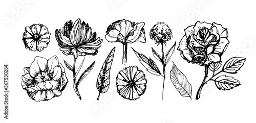 Abstract hand dtawn floral template set. Leaf and flower art for pattern, background, fabric, t-shirt design.