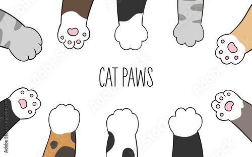 Draw vector character design banner cat paws.