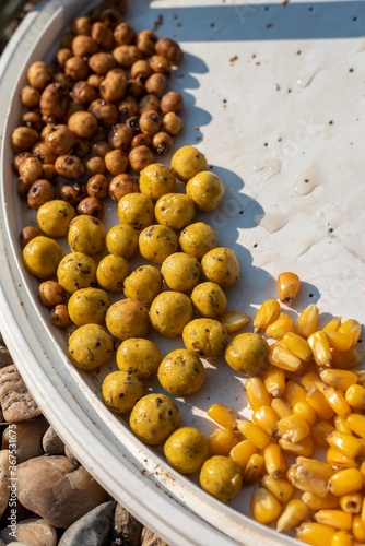 carp fishing baits isolated. carp corn with tiger nuts and boilies.