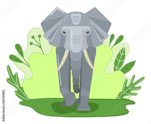 Elephant on the green lawn goes forward. Front view. Flat design. Vector illustration.