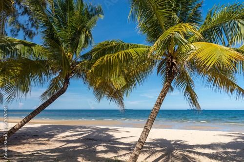 Fototapeta Naklejka Na Ścianę i Meble -  Coconut palm trees, beautiful tropical background.