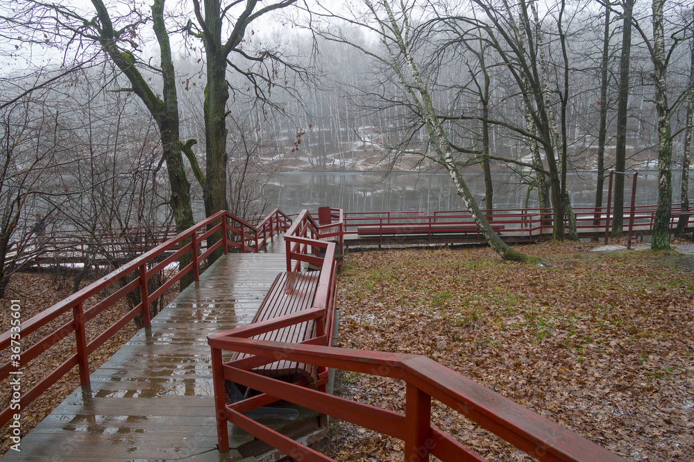 Gloomy autumn in a forest park. Gloomy autumn in a forest park.