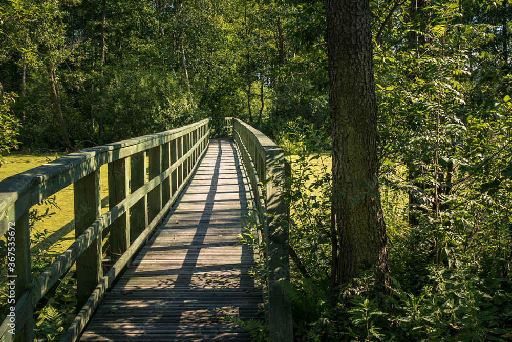 Calowanie Swamp - wooden footbridge on the peatbog in the Masovian Landscape Park, Karczew, Poland