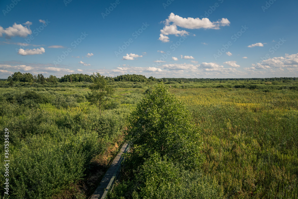 Calowanie Swamp - peatbog in the Masovian Landscape Park, Karczew, Poland