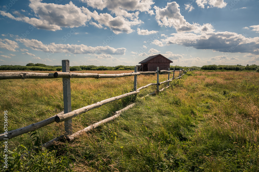 Calowanie Swamp - peatbog in the Masovian Landscape Park, Karczew, Poland