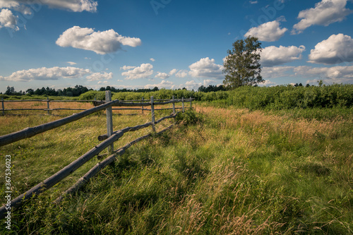 Calowanie Swamp - peatbog in the Masovian Landscape Park, Karczew, Poland