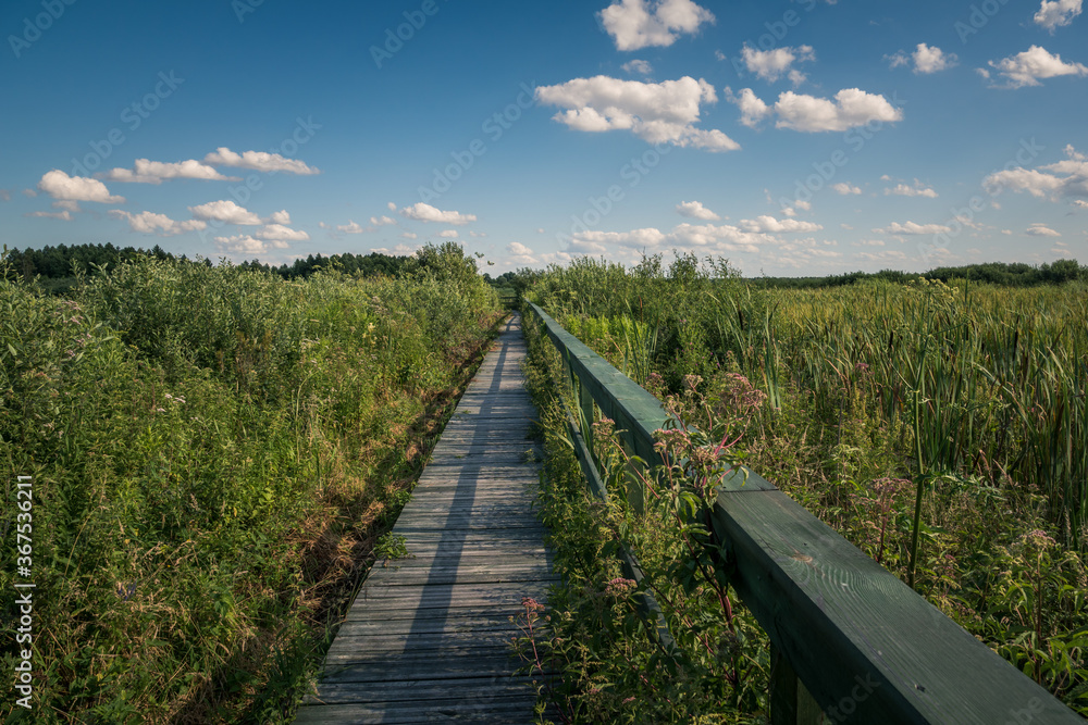 Calowanie Swamp - wooden footbridge on the peatbog in the Masovian Landscape Park, Karczew, Poland