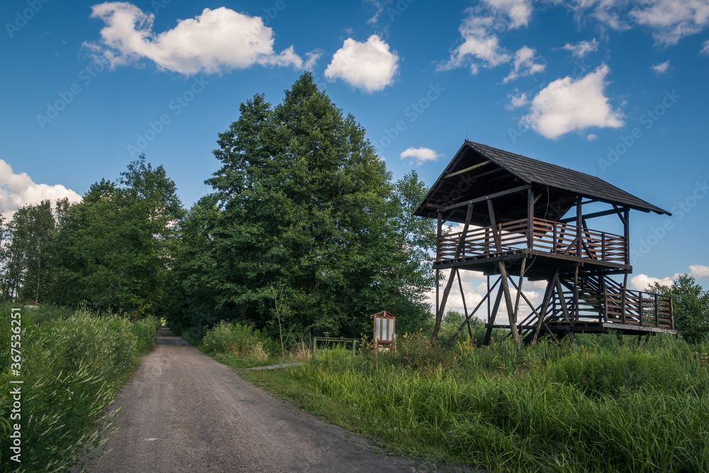 Calowanie Swamp - peatbog in the Masovian Landscape Park, Karczew, Poland