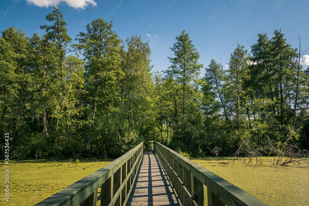 Calowanie Swamp - wooden footbridge on the peatbog in the Masovian Landscape Park, Karczew, Poland